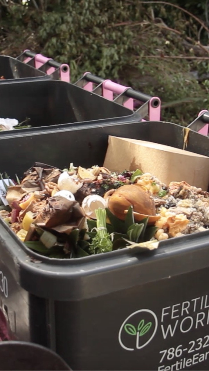 Food scraps collected in Fertile Earth bins for composting